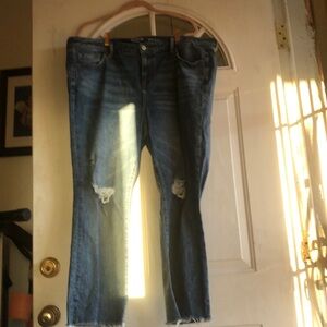 Torrid Perfect Boyfriend Ankle Jean